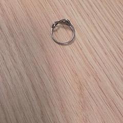 Bague, a été signalé par Qbuzz Fryslân utilisant iLost