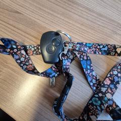 Autosleutel, zoals gemeld door Connexxion Zeeland met iLost