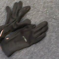 Gloves, as reported by SnowWorld Landgraaf using iLost
