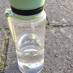 Bottle, jak bylo nahlášeno na iLost