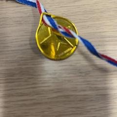 Medaillle Speelgoed, zoals gemeld door IKEA Duiven met iLost