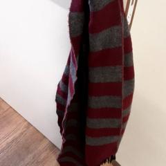 Xal, segons ha informat Qbuzz ZHN mitjançant iLost