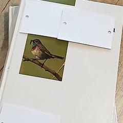 文学 - boeken がiLostで Centraal magazijn によって報告されました