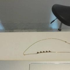 Halsband Goud met driehoekjes, rapporterat av Het Noordbrabants Museum med iLost