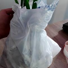 Bolsa, ha sido reportado por EBS Tramplein con iLost