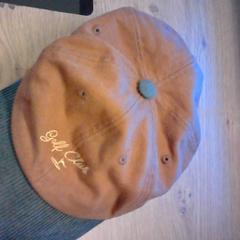 Pet bruin met groene klep, zoals gemeld door Bobbejaanland met iLost