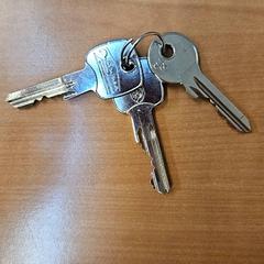 Nøkkelring, som rapportert av Gemeente Zutphen ved bruk av iLost