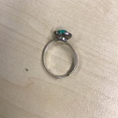 Ring, as reported by Gemeente Nijmegen using iLost