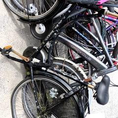 Zwarte opoefiets, ha sido reportado por Stadswerk072 con iLost
