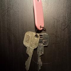 woningsleutels, as reported to iLost