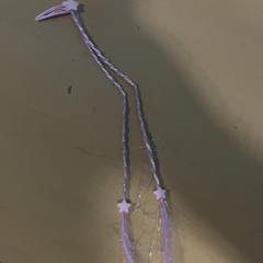 Molletta, come riportato da Jaarbeurs utilizzando iLost