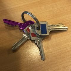 Sleutelbos, jak zgłoszono do iLost