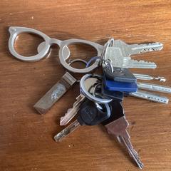 Sleutelbos، كما تم الإبلاغ عنه عبر iLost