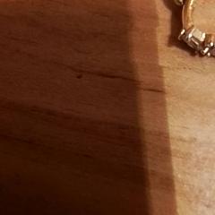 Orecchino, come riportato da Beekse Bergen Resorts en Hotel utilizzando iLost