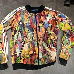 Jacke Adidas, gemeldet von RRReis IJssel-Vecht Zwartsluis über iLost
