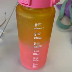 Trinkflasche Roze oranje drinkfles, gemeldet von Regio Limburg - Leuven über iLost