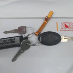 Sleutelbos, zoals gemeld door Gemeente Utrecht met iLost