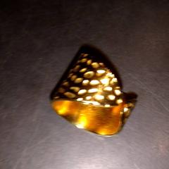 Ringa, rapporterat av TivoliVredenburg med iLost