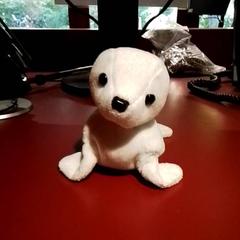 Knuffel, as reported by Apenheul using iLost