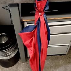 Guarda-chuva Rood/donkerblauw, como reportado por Qbuzz GD Groningen HS utilizando o iLost