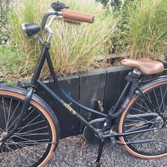 Fiets, som rapporterats till iLost