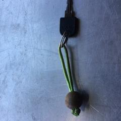 自転車の鍵 met koord en houten bolletje がiLostで Paaspop 2025 によって報告されました