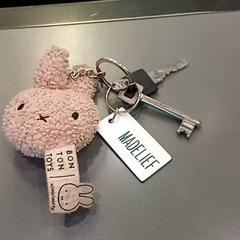 Klíč Zie foto, jak nahlášeno Qbuzz GD Groningen HS pomocí iLost