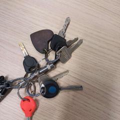 Keychain, as reported by Arriva West-Brabant using iLost