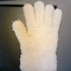 Handschoen, zoals gemeld door SnowWorld Landgraaf met iLost