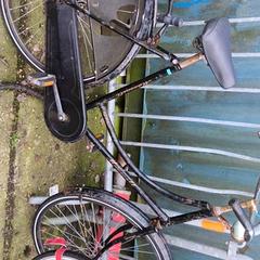 Zwarte opoefiets zwartr, zgłoszono przez Stadswerk072 przy użyciu iLost