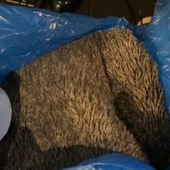 Blanket deken, as reported by Van der Valk Hotel Heerlen using iLost