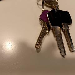 Kulcsok, amint azt RAI Amsterdam az iLost segítségével jelentette.