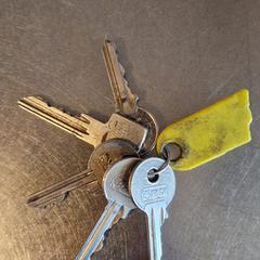 sleutelbos, som rapportert til iLost