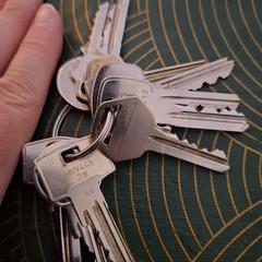 Sleutelbos がiLostに報告されました