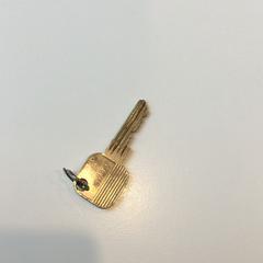 열쇠, iLost를 사용하여 Gemeente Weert에 보고됨