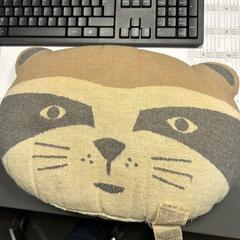 베개, iLost를 사용하여 Inntel Hotels Amsterdam Zaandam에 보고됨