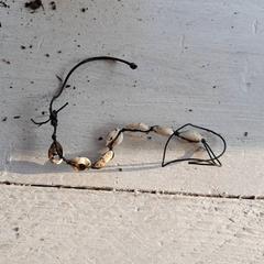 Armband, a été signalé par DierenPark Amersfoort utilisant iLost