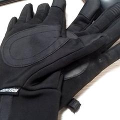 Guants Zwart, segons ha informat Qbuzz Fryslân mitjançant iLost