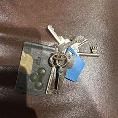 Sleutelbos met Renault Megane autosleutel, as reported to iLost