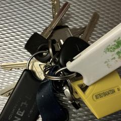 Bos sleutels, amint azt az iLostnak jelentették.