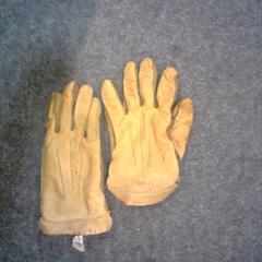 Handschuhe, gemeldet von SnowWorld Landgraaf über iLost