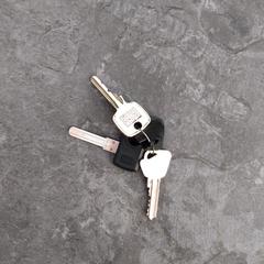 sleutels an iLost gemeldet