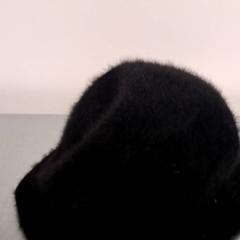 Hatt, rapporterat av Keolis Lund med iLost