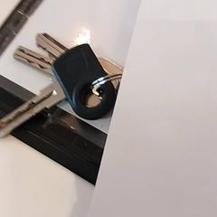 Giltzak, gisa salatu by RRReis IJssel-Vecht iLost erabiliz