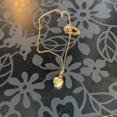 Halskette, gemeldet von Blauwnet Zwolle über iLost