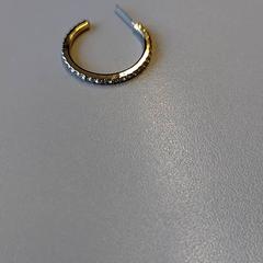 Brinco Goudkleur, como reportado por Zuyderland MC Heerlen utilizando o iLost