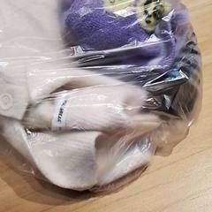 Vestje, como reportado por Beekse Bergen Resorts en Hotel utilizando o iLost