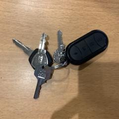 Clauer, segons ha informat Gemeente Amsterdam mitjançant iLost