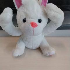 İLost kullanarak Arriva Limburg Zuid tarafından bildirildiği gibi Knuffel inclusief batterij