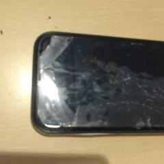 Smartphone iPhone, as reported by Walibi Holland using iLost